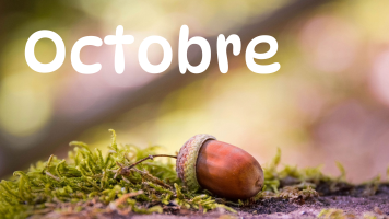 Programme d’Octobre 2024